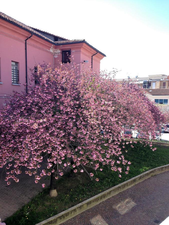 Casa Agnese Panzió Alba Kültér fotó